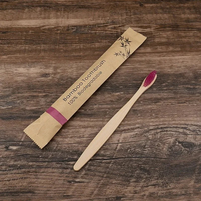 Kit 10 Escovas de Dente de Bambu Natural Coloridas